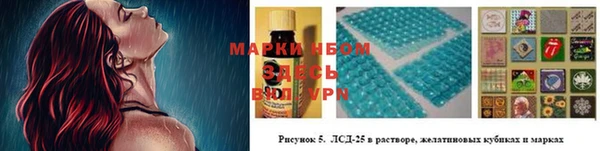 apvp Аркадак
