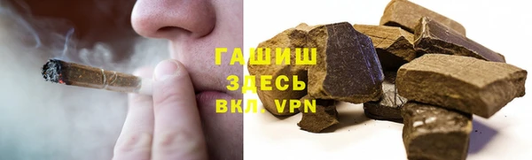 шишки Арсеньев