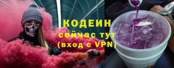 шишки Арсеньев