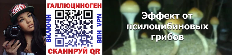 KRAKEN ТОР Ельня Галлюциногенные грибы мухоморы