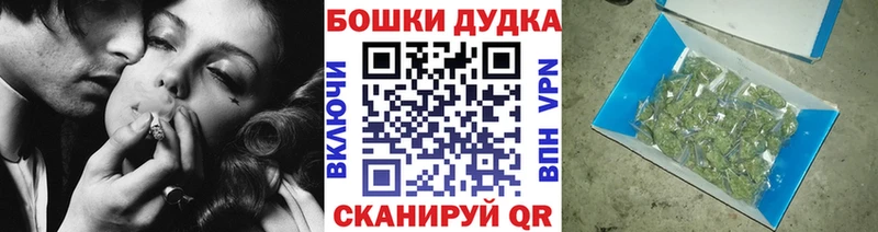 Бошки Шишки SATIVA & INDICA  Ельня 